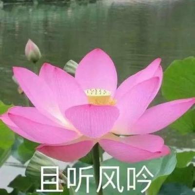 神东煤炭集团锦界煤矿保供防疫两手抓两不误